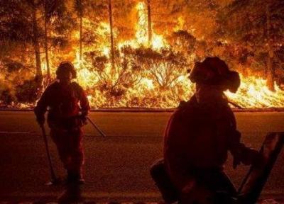 افزایش آتش سوزی های طبیعی با تداوم موج گرما در اسپانیا