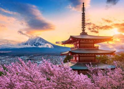 تور 11 روز ژاپن